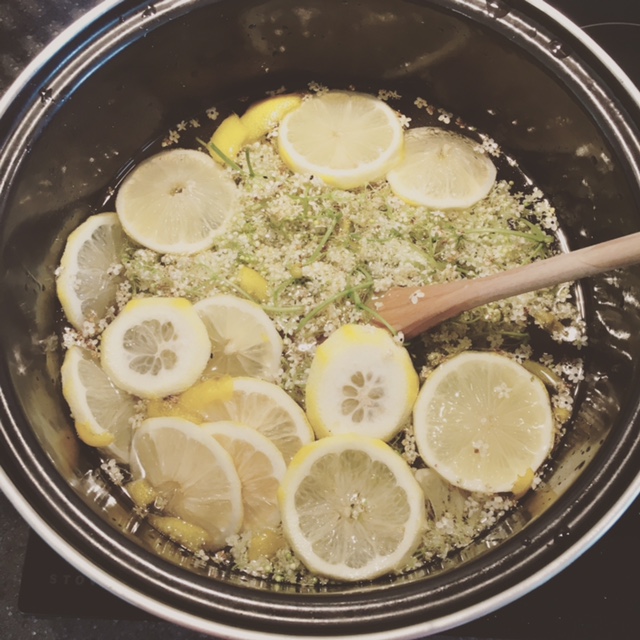 Elderflower cordial